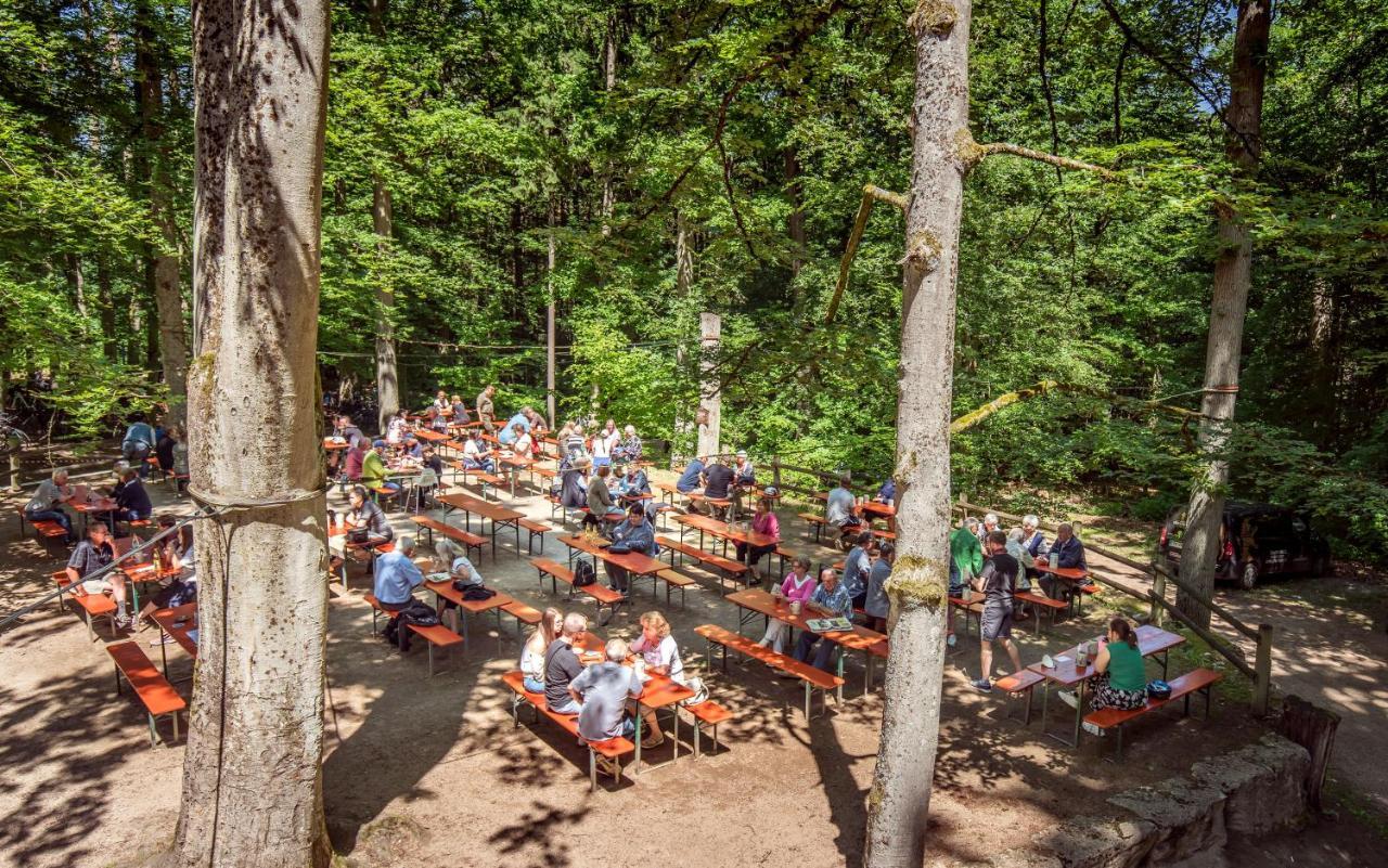 Brauereigasthof Zum Loewenbraeu Adelsdorf Dış mekan fotoğraf