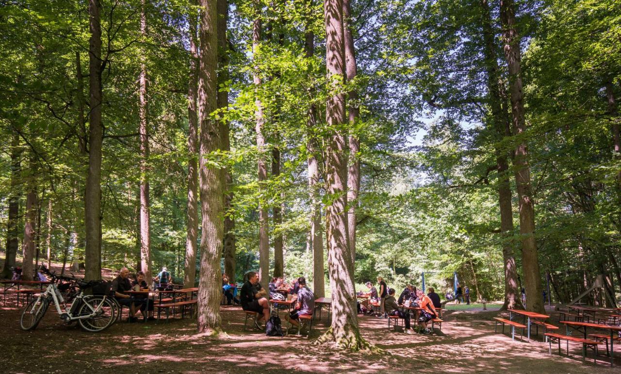 Brauereigasthof Zum Loewenbraeu Adelsdorf Dış mekan fotoğraf